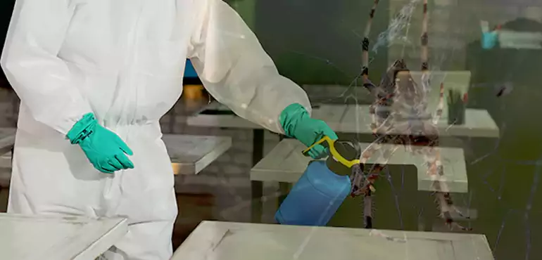 Why Buyers Still Want Homes With Pest Infestations in Long Beach, CA?