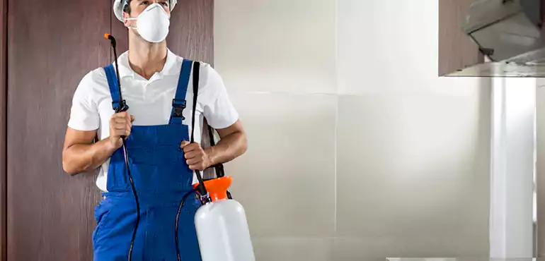 Why Long Beach Homeowners Choose Us When Pests Make Selling Difficult